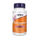 AHORA Suplementos de alimentos, Pycnogenol 60 mg (un único combo de proanthocyanidins de Pine Marítimo francés) con Acerola & Rutin Powder, 50 cápsulas de Veg
