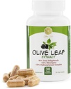 Extracto de la hoja de oliva - 500mg - Suplemento Estándarizado al 25% Oleuropeina - 20% Hydroxytyrosol - 40% Polyphenols - Non-GMO + Gluten Gratis + Lácteo Libre + Soy Libre + Vegan (30 cápsulas)