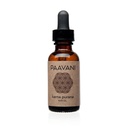 PAAVANI Ayurveda Aceite de oído - Hecho en EE.UU. - Ayurvédicas gotas de oído de hierbas - Itchy Ears &amp; Earache Relief - 100% orgánico, 1 oz