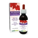 Naturalma Red Grapevine (Vitis vinifera) Leaf Alcohol-Free Tintura - 4 fl oz Liquid Extract in Drops - Herbal Supplement - Vegan