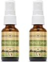 Honey Gardens Bee Propolis Throat Spray Silencio con Apitherapy Raw Honey, Licorice Root y Usnea ← 50 Servings  1 Fl Oz ← Pack of 2
