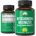 Mitocondria Maximizador con CoQ10 y PQ Activo. Mejor suplemento de soporte mitocondrial con aceite MCT. Generador celular natural para energía limpia, focalizada 60 cápsulas vegetarianas