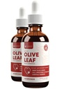 Rejuvica Active Olive Leaf Extract Silencio Naturalmente Occurring Oleuropein Liquid Drops for Immune & Heart Support ← Fast-Absorption, Vegan, Alcohol-Free TEN 4 fl oz