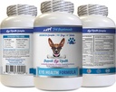 Cuidado de ojos para perros - Dogs Eye Health Formula - Advanced Eye Support Complex - VETS Recommended, Dog Cranberry, Eye Vision Supplement for Dogs, Supplement for Eye Care, Eye Support Vitamins 1Bot 60Tabs
