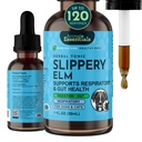 Animal Essentials Slippery Elm - Resbaladiza Elm Bark Anti Diarrea gotas para perros y gatos, Extracto Hierba Ecológico para Gut Saludable, Digestivo " Throat Support, Ayuda Acid Reflux, Liquid Formula- 1 fl oz