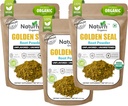 Naturefi Orgánica Goldenseal Root Powder - 10.5 oz, 300 Servings *USDA Orgánica tención Lab Tested* Pure Natural Goldenseal Root Powder Suplemento