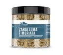 Elementos terrestres Caralluma Fimbriata 200 Capsules, Puro ' Undiluted, No Additives