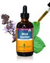 Herb Pharm Mind Soother: Holy Basil: Liquid Kava Supplement to Support Calm & Relax, Stabilizing Support for Nervous System, Made with Noble Kava & Lavender Flower, Vegan, Gluten-Free, 4 oz*