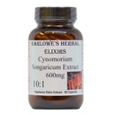 Cynomorium Songaricum Extracto 10:1 ← 600mg Por Capsule TENIDO Suplemento herbal para la resistencia, vitalidad y bienestar TEN 60 cápsulas veganos ← Stearate-Free, Glass Bottled