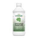 Salud dinámica Clorofila líquido Peppermint 100 mg, clorofilinas de cobre de sodio con hojas de Alfalfa y Mulberry, limpieza de plantas y desodorización, sin azúcar añadido, 16 Fl Oz