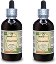 Spilanthes (Acmella oleracea) Tintura, hojas secas orgánicas, flores y senos Extracto líquido (Marca: HerbalTerra, Proudly Made in USA) 2x4 fl.oz (2x120 ml)