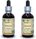 Skullcap (Scutellaria Lateriflora) Tintura, Extracto líquido de hierba seca orgánica (Marca: HerbalTerra, Proudly Made in USA) 2x2 fl.oz (2x60 ml)