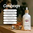 Rainbo - Cordyceps Mushroom Tintura - Doble Extract Mushroom Suplemento - Immune Support, Energy, Liquid Cordyceps Supplement, Vegan, Non GMO, 3.4 fl oz