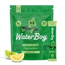 Waterboy Workout Hydration  2,960mg Sugar Free Electrolyte Powder Packets ← L-Glutamine + Vitaminas ← No Sugar, All Natural, Gluten Free ← 15 Bebidas Stick Mixes (Límina de limón)
