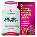 Suplemento de soporte para el riñón de premium – Detox de limpieza del riñón " Reparación con extracto de arándano " Astragalus - 21-in-1 Apoyos complejos Visión normal, Urinary Tract " Kidneys Health - 60 Day Supply