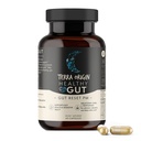 TERRA ORIGIN Healthy Gut Reset PM TENIDO 60 Veggie Capsules ← Natural Sleep Aid Supplement for Sleep & Wake Cycles ← GABA, L-Tryptophan, Melatonin, L-Glutamine, Licorice Root, Slippery Elm Root