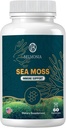 Mar Moss Gummies — Immune Strength & Skin Health, Organic Irish Moss Gummy Bears, 60 Conde, Vegan, Superfood Chewable Suplemento para la resistencia y la salud
