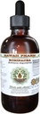 Echinacea Extracto líquido libre de alcohol, Echinacea (Echinacea Angustifolia) Ratón seco Glycerite Hawaii Pharm Natural Herbal Suplemento 4 oz