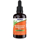 AHORA Suplementos de alimentos, Echinacea & Goldenseal Plus con Dropper, Immune System Support*, 2-Ounce