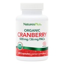NaturesPlus Organic Cranberry 500 mg - 60 Capsules - Ayuda a promover la Tract de orina saludable - USDA Certified Organic, Vegan, Gluten Free, Non-GMO - 30 Servings