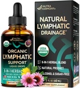 USDA Organic Lymphatic Drainage Supplement - Echinacea ← Elderberry Silencio Dandelion Silencio Rosehip Silencio Cleavers  Calendula ANTE Burdock - Made in USA - Lymph System Drops - Immune Support, Cleanse " Detox, 2 fl oz