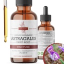 Ecológico Astragalus Tincture - Premium Astragalus Root Extract for Immune Support - Alcohol-Free, Sugar-Free, Vegan - High Potency Liquid Supplement - Made in USA - 2 Fl.Oz.