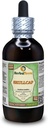 Skullcap (Scutellaria Lateriflora) Glicérite, Hierba orgánica sin alcohol Extracto líquido libre de alcohol (Marca: HerbalTerra, Proudly Made in USA) 4 fl.oz (120 ml)