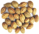 Naturales Terminalia Chebula Silencio Kadukkai vidas Harad Silencio Inknut Haritaki Indian Origin Herbs (200g(7 oz))