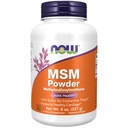 AHORA Suplementos de alimentos, MSM (Methylsulfonylmethane) Polvo, soporta cartílago saludable*, salud conjunta*, 8 onzas