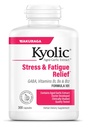 Kyolic Aged Extract Fórmula 101, Stress and Fatigue Relief, 300 cápsulas.