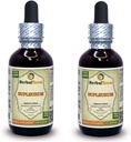 Bupleurum (Bupleurum Chinense) Tintura, Extracto líquido de raíz seca orgánica (Marca Marca: HerbalTerra, Proudly Made in USA) 2x2 fl.oz (2x60 ml)