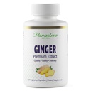 Extracto de jengibre Premium para la Salud Digestiva, Super Potent, Ultra Pure, Vegan, No GMO, Gluten Free, 60 cápsulas vegetarianas
