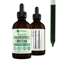 360 Nutrición Matcha Chlorophyll Liquid Drops with L-Theanine, Gluten Free & Vegan Internal Deodorant Supplement, Supports Gut Health, Digestion, Energy, Radiant Skin, Fast Absorption, 60 Servings