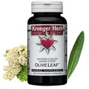 Herbs Kroeger, Leaf Extract Capsules for Immune System, Olive Leaf &amp; Yarrow Supplement, Vegetarian, Non-GMO, Gluten Free, No Preservatives - 100 Capsules, Made in USA
