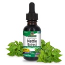 Respuesta de la naturaleza Nettle Leaf 1oz Extracto ← Prostate Suppot TEN Concentrated Dark Green Nettle Leaf Herbal Suplemento No-GMO, Kosher, Gluten-Free, " Alcohol-Free TEN Single Count