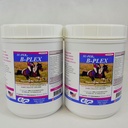 SU-PER B-Plex Powder Equine Vitaminas - Completo B-Complex Horse Vitamins and Minerals Suplemento - Hooves saludables, Células rojas de sangre, Polvo de calma de caballo - 2,5 libras, (2 Pack)