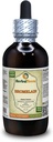 Bromelaina (Ananas Comosus) Tintura, Extracto líquido de polvo seco (Marca: HerbalTerra, Proudly Made in USA) 4 fl.oz (120 ml)