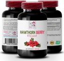cápsulas hawthorn berry - HAWTHORN BERRIES EXTRACT - suplemento extracto de hawthorn, cápsulas extracto de hawthorn berry, polvo extracto de baya, energía de baya silvestre, píldoras energéticas hawthorn 1 Botella 60 cápsulas