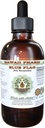 Bandera Azul Extracto líquido libre de alcohol, Bandera Azul Orgánica (Iris versicolor) Ratón seco Glycerite Hawaii Pharm Natural Herbal Suplemento 2 oz