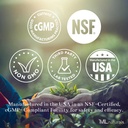 ML Naturals Mushrooms Complejo 120 Vegetable Capsules. 6 Setas esenciales: Reishi orgánico, Mane de León, Cordyceps, Apoyo sano a la Inmunidad, NSF-Certified & cGMP-Compliant.