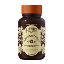 Herbs, Etc. Adrenotonic - Herbal Supplement for Adrenal Gland Health Support - Energy Support Supplement for Men &amp; Women - 60 Softgels (60 Servings)