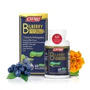 CATALO Bilberry Eye Fórmula con Vegetariano DHA - Suplemento de Cuidado de los Ojos con Mirtoselect Bilberry Extract, DHA de Algae, Lutein, Zeaxanthin, Grape Seed Extract, y Zinc - 60 cápsulas vegetarianas
