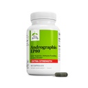 Terry Naturally Andrographis EP80 Extra Strength - Brain Health & Immune Support - Joint Health Supplement to Aid Mobility - Vegan Adaptogen Supplement for Energy & Liver Support - 60 cápsulas