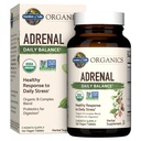 Jardín de Vida Orgánicas Balanza diaria Adrenal, Hierbas Adaptogénicas Ashwagandha, Basil Santo, Complejo B &amp; Probióticos, Orgánica Non-GMO, Vegan, Suplemento libre de gluten, Dos Mes Fuente, 120 Tabletas
