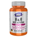 AHORA Alimentos Deportes Nutrición, Resto y Reparación, Recuperación*, Promueve el descanso*, Preserva la Misa de Lean, Reduce la Soreness Post-Workout*, Vegan, NGMO, 90 Veg Capsules