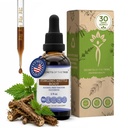 Secretos de la Tribe Stinging Nettle Extract líquido libre de alcohol, Stinging Nettle (Urtica Dioica) Root seco (2 FL OZ)