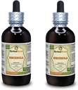 Rhodiola (Rhodiola Rosea) Tintura, Botas orgánicas de secado Extracto líquido (Marca Marca: HerbalTerra, Proudly Made in USA) 2x4 fl.oz (2x120 ml)