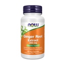 AHORA Suplementos de alimentos, Extracto de raíz de jengibre 250 mg, Alivio Temporal de estómago de montaje*, Apoyo digestivo*, 90 cápsulas de verduras