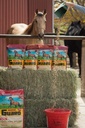 Guardia de caballos 4.6 lb, Suplemento mineral de vitamina equina con selenio orgánico & vitamina E