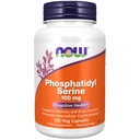 AHORA Alimentos Suplementos, Phosphatidyl Serine 100 mg con compuesto fosfolípido derivado de Soy Lecithin, 120 Veg Capsules